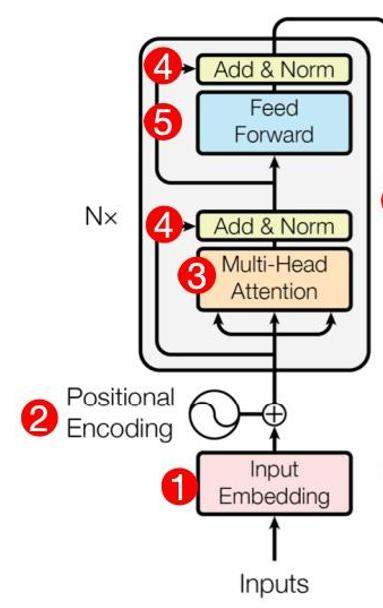 Transformer Encoder